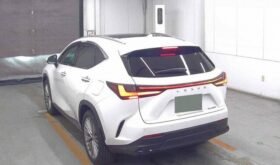 Lexus NX250 Version L 2023 | Grade 5A | White