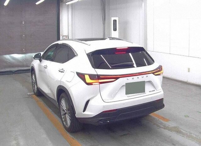 
								Lexus NX250 Version L 2023 | Grade 5A | White full									