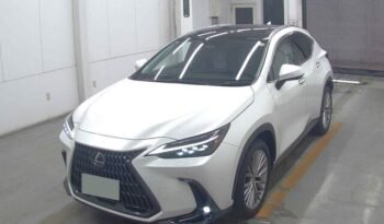 
										Lexus NX250 Version L 2023 | Grade 5A | White full									