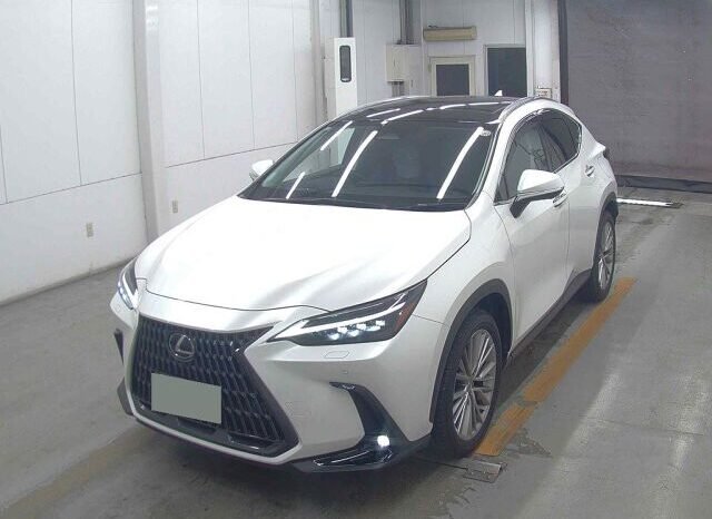 
								Lexus NX250 Version L 2023 | Grade 5A | White full									