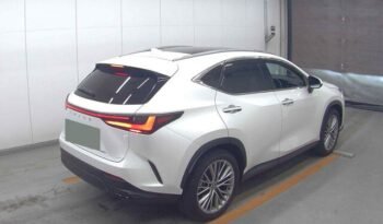 
										Lexus NX250 Version L 2023 | Grade 5A | White full									