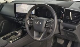 Lexus NX250 Version L 2023 | Grade 5A | White