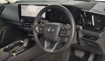 
										Lexus NX250 Version L 2023 | Grade 5A | White full									